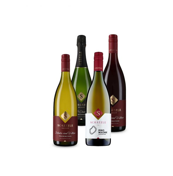 online Weinproben Paket Profi - 75cl Flaschen